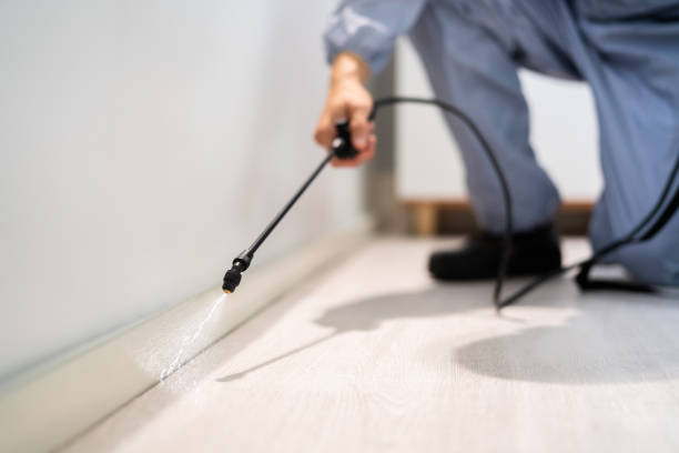 Licensed Pest Control service in Ridgebury, CT - Show Me Pest Control